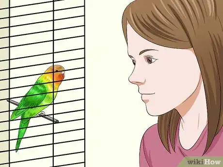Image titled Tame Your Budgies Step 3