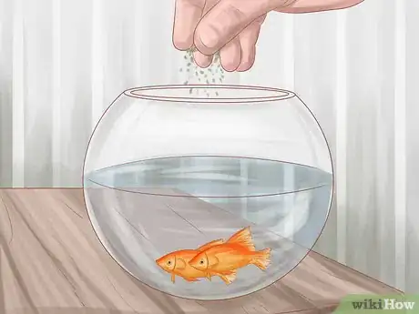 Image titled Keep Your Fish from Dying Step 6
