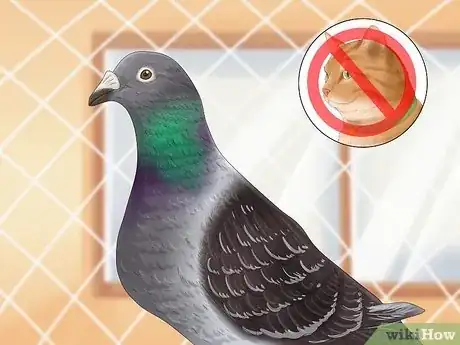 Image titled Tame Pigeons to Be out of Cage Permanently Step 11