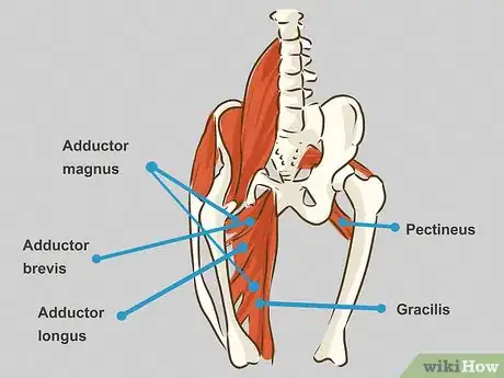 Image titled Treat a Groin Injury Step 10