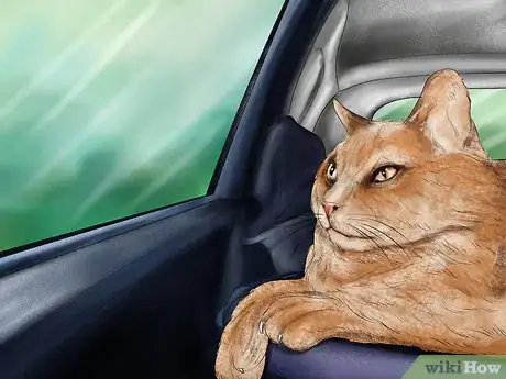 Image titled Deal with Car Sickness in Cats Step 1