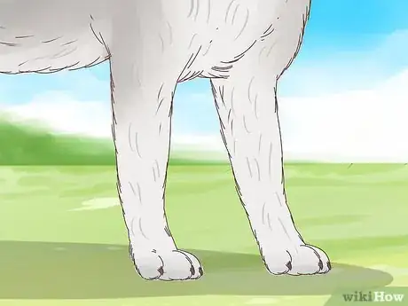 Image titled Understand Your Dog's Body Language Step 3
