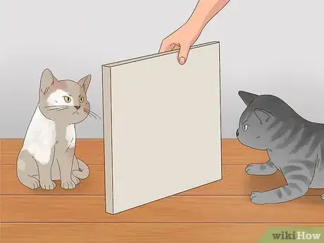 Image titled Know if Cats Are Playing or Fighting Step 11