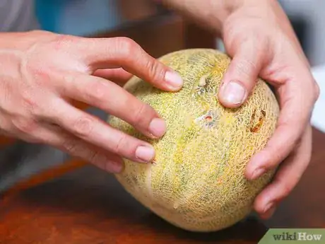 Image titled Buy a Cantaloupe Step 1