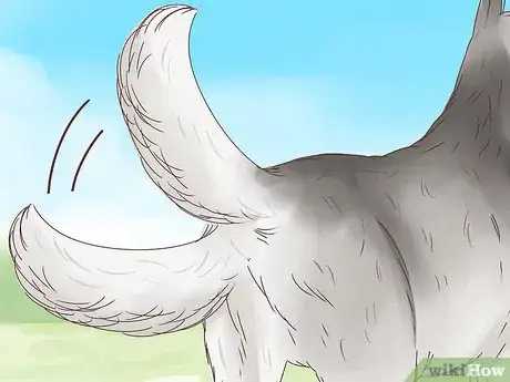 Image titled Understand Your Dog's Body Language Step 2