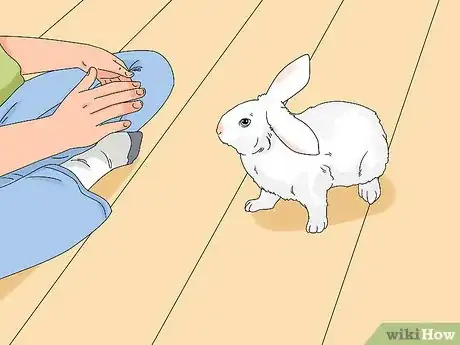 Image titled Tell if Your Rabbit Has Weepy Eye Step 3