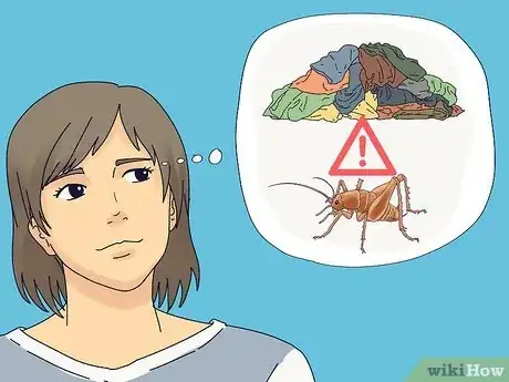 Image titled Get Rid of Spider Crickets Step 12