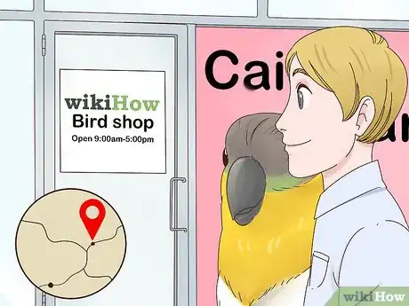 Image titled Choose a Caique Parrot Step 10