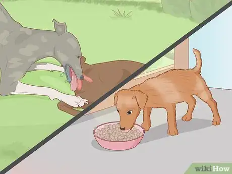 Image titled Prepare Home Cooked Food for Your Dog Step 1
