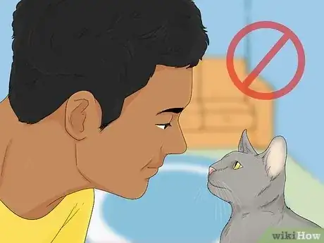 Image titled Earn a Kitten's Trust Step 2