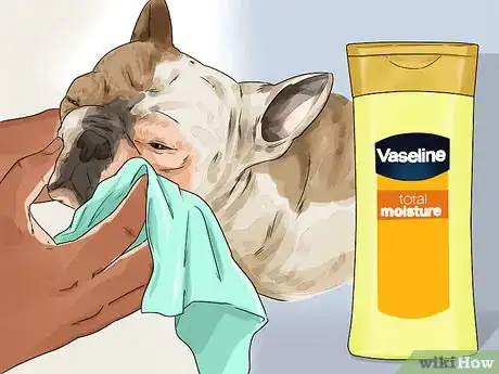 Image titled Clean a Bulldog's Face Folds Step 10