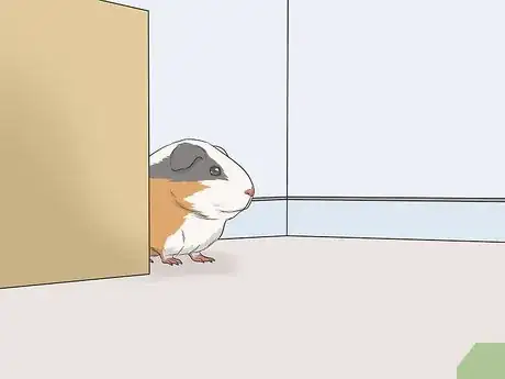 Image titled Hold a Guinea Pig Step 12