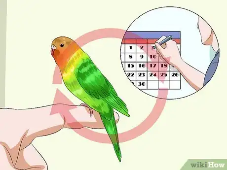 Image titled Tame Your Budgies Step 16