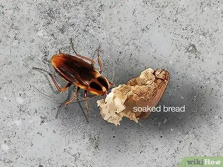 Image titled Identify a Cockroach Step 4