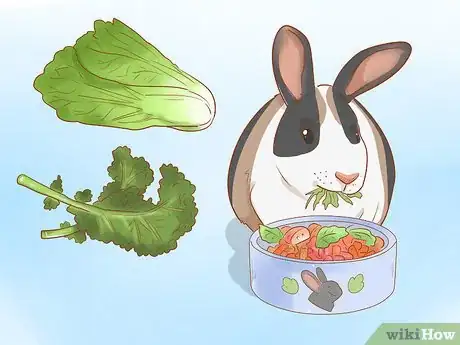 Image titled Feed Your Rabbit with Pellets Step 16