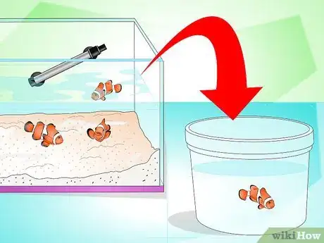 Image titled Tell if Your Fish Is Sick Step 13