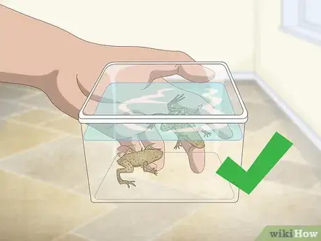 Image titled Care for African Dwarf Frogs Step 1
