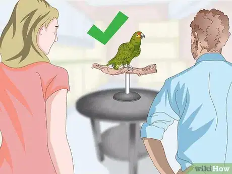 Image titled Deal with an Aggressive Amazon Parrot Step 7