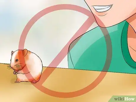 Image titled Pick up Your Hamster Step 10