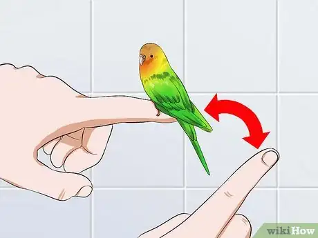 Image titled Tame Your Budgies Step 13