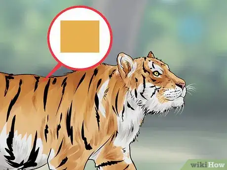 Image titled Identify a Siberian Tiger Step 4