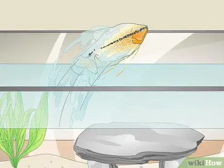 Image titled Reduce Chlorine in an Aquarium Step 13