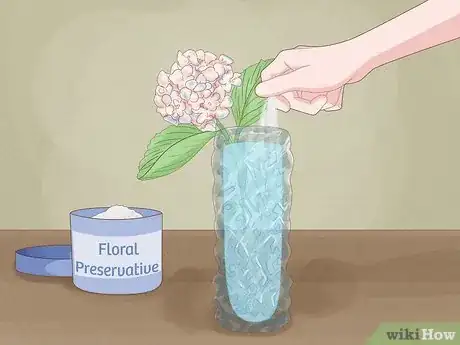 Image titled Revive Hydrangeas Step 10