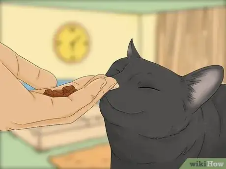 Image titled Earn a Kitten's Trust Step 5