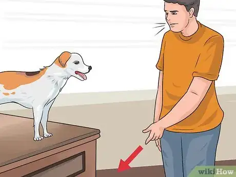 Image titled Stop a Dog from Climbing up on Things Step 3