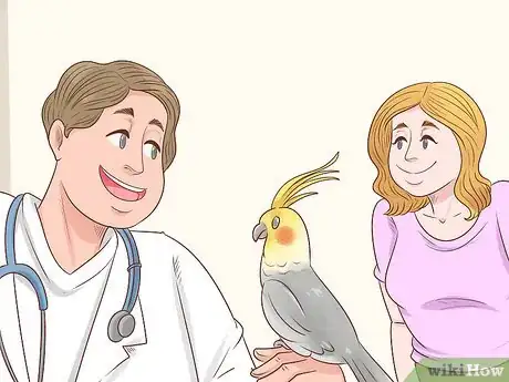 Image titled Know if a Cockatiel Is Right for You Step 13