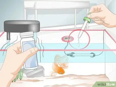 Image titled Cure Goldfish Dropsy Step 11