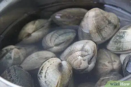 Image titled Cook Clams Step 14Bullet1