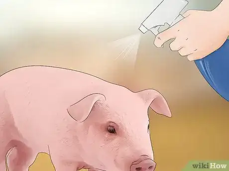 Image titled Prevent Lice and Mites Infesting Your Pigs Step 9