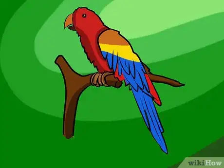 Image titled Draw a Parrot Step 9