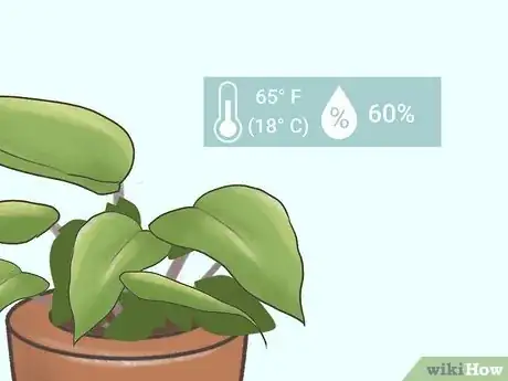 Image titled Grow Philodendron Step 9
