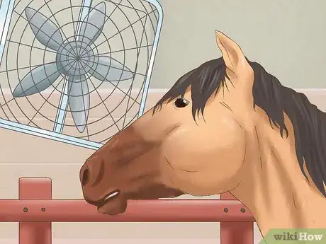 Image titled Treat Sweet Itch in Horses Step 10