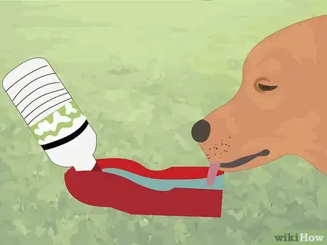 Image titled Prevent Heat Stroke in Dogs Step 8