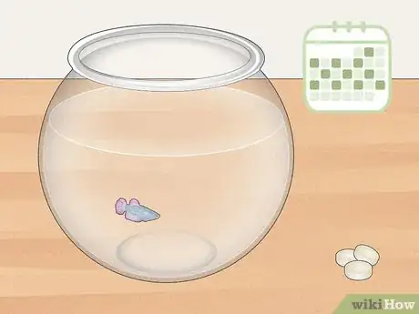 Image titled Clean a Betta Fish Bowl Step 1