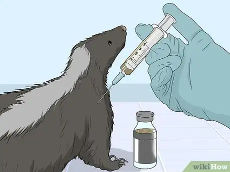 Image titled Take Care of a Pet Skunk Step 16