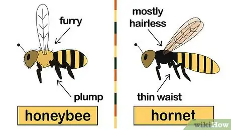 Image titled Get Rid of Bees Step 1