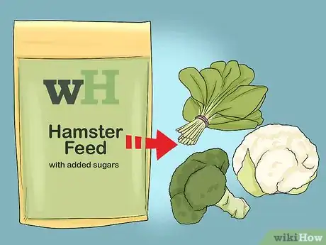 Image titled Deal With Diabetes in Hamsters Step 1