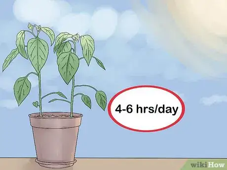 Image titled Take Care of Plants Step 1