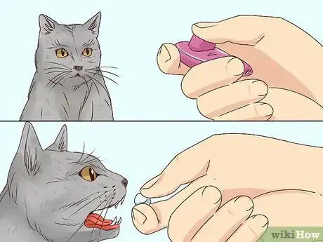 Image titled Get a Cat to Stop Meowing Step 21