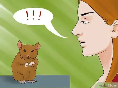 Image titled Name Your Hamster Step 9