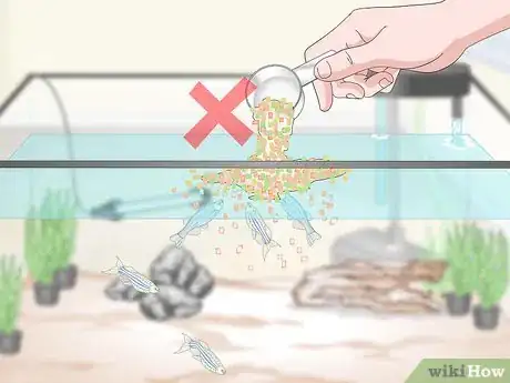 Image titled Take Care of Your Fish Step 14