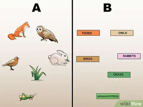 Image titled Draw a Food Web Step 5