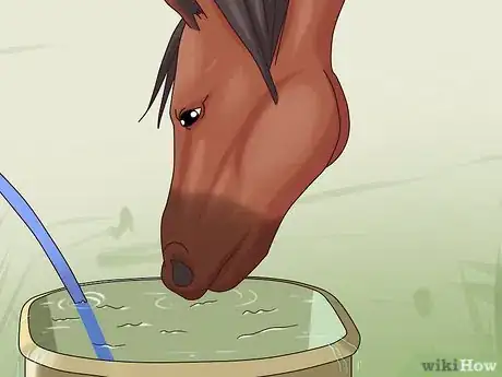 Image titled Help a Horse With Choke Step 8