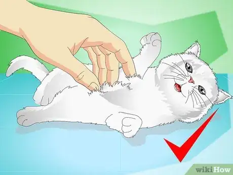 Image titled Stop Kittens from Crying Step 8