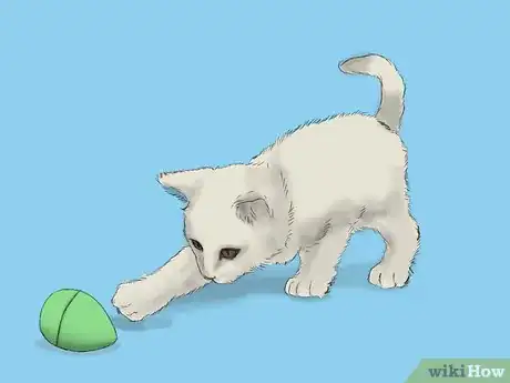 Image titled Play With Cats Step 11