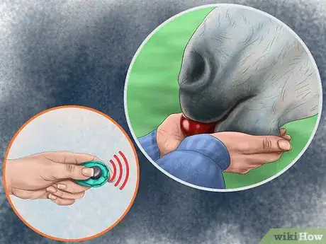 Image titled Teach Your Horse to Lie Down Step 3